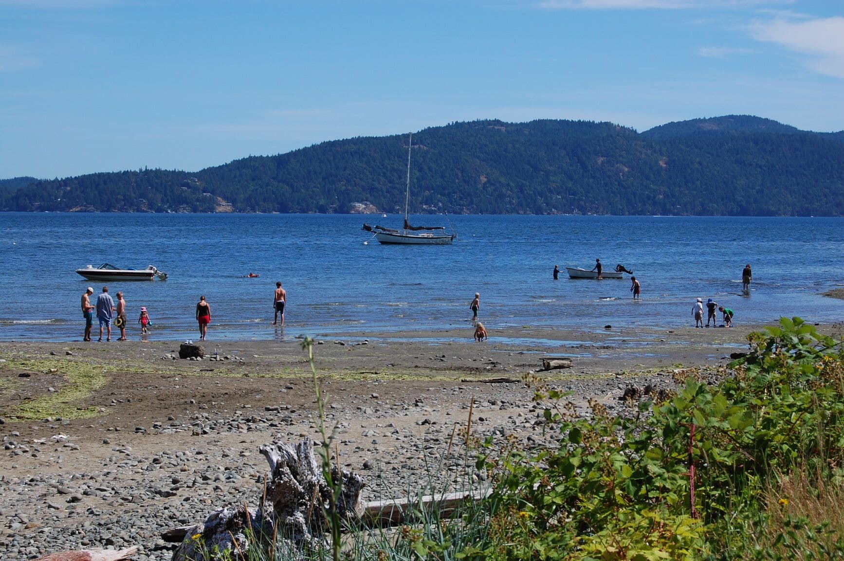 Camping near Victoria camping inspiration from Bamberton Park