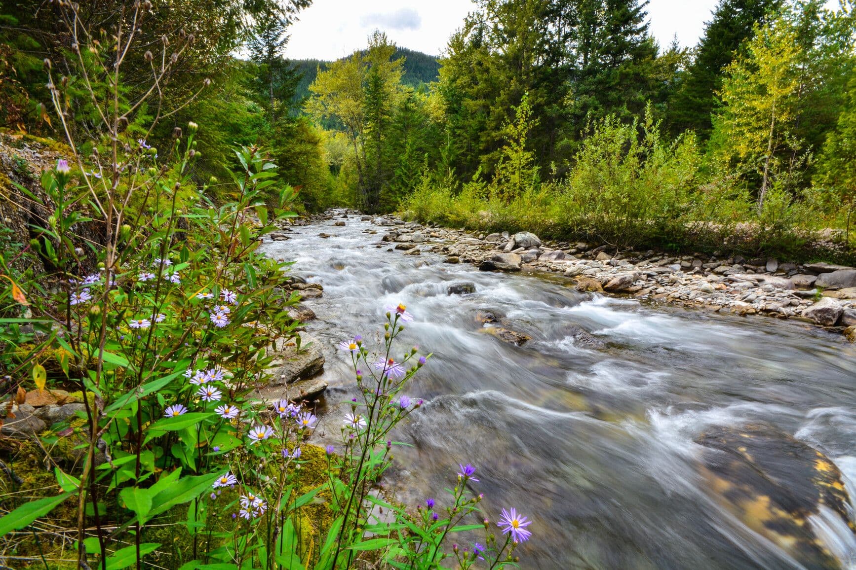 Kootenay Lake Park photo 6