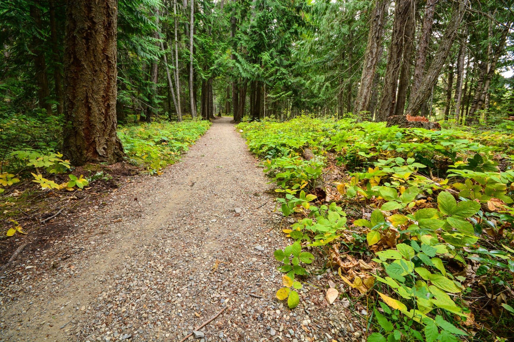 Kootenay Lake Park photo 7