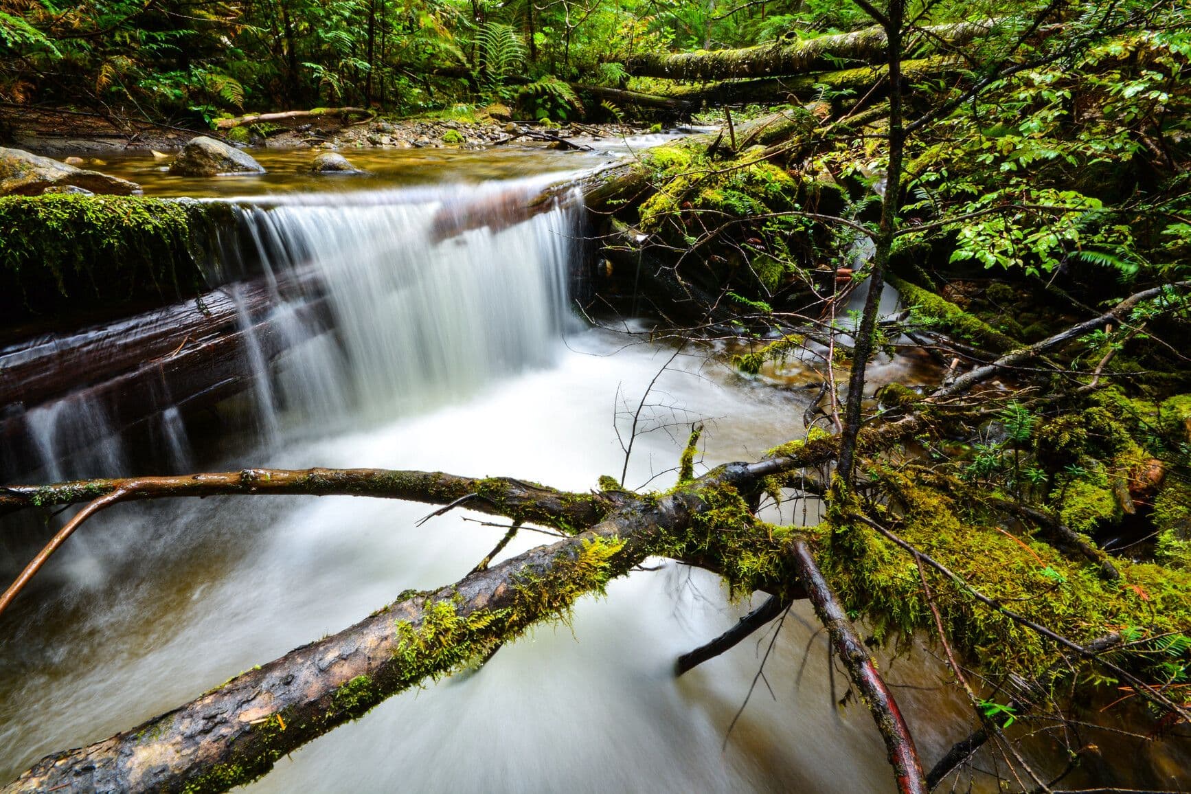Mabel Lake Park photo 4