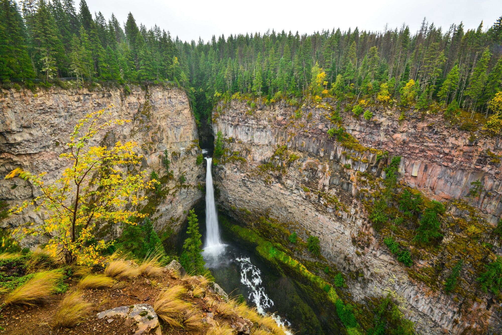 Wells Gray Park