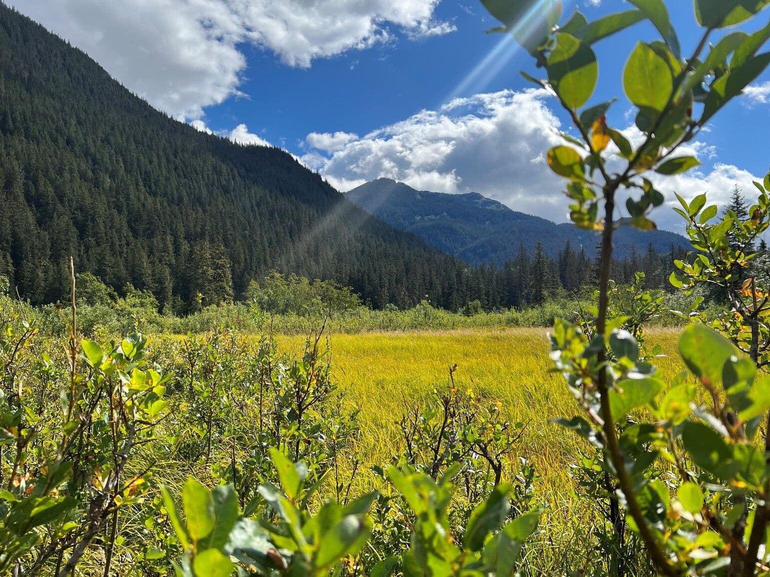 Choquette Hot Springs Park