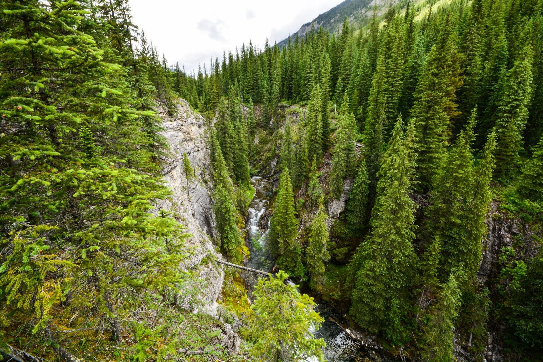 Height of the Rockies Park photo 2