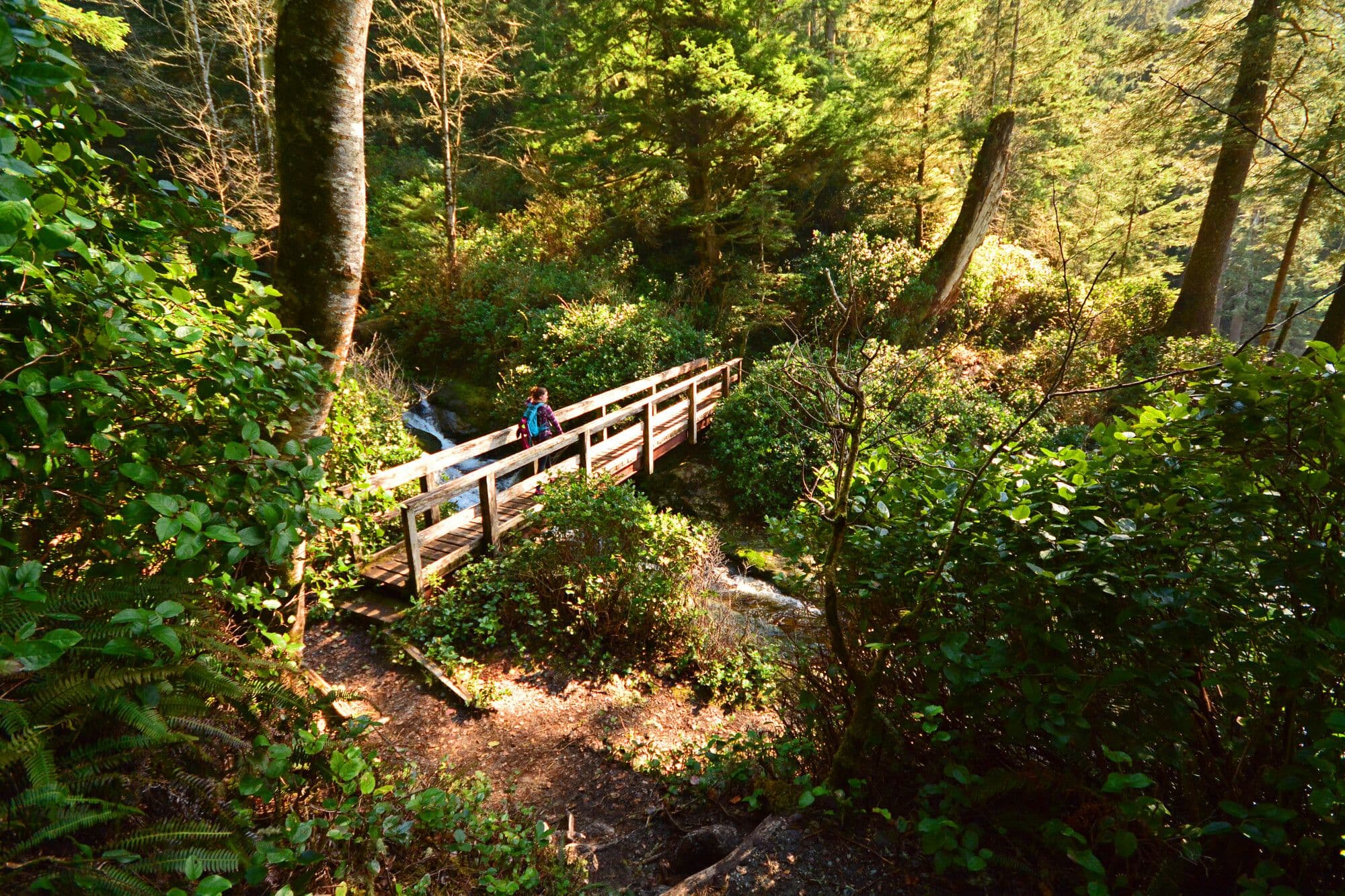 Juan de Fuca Park photo 6