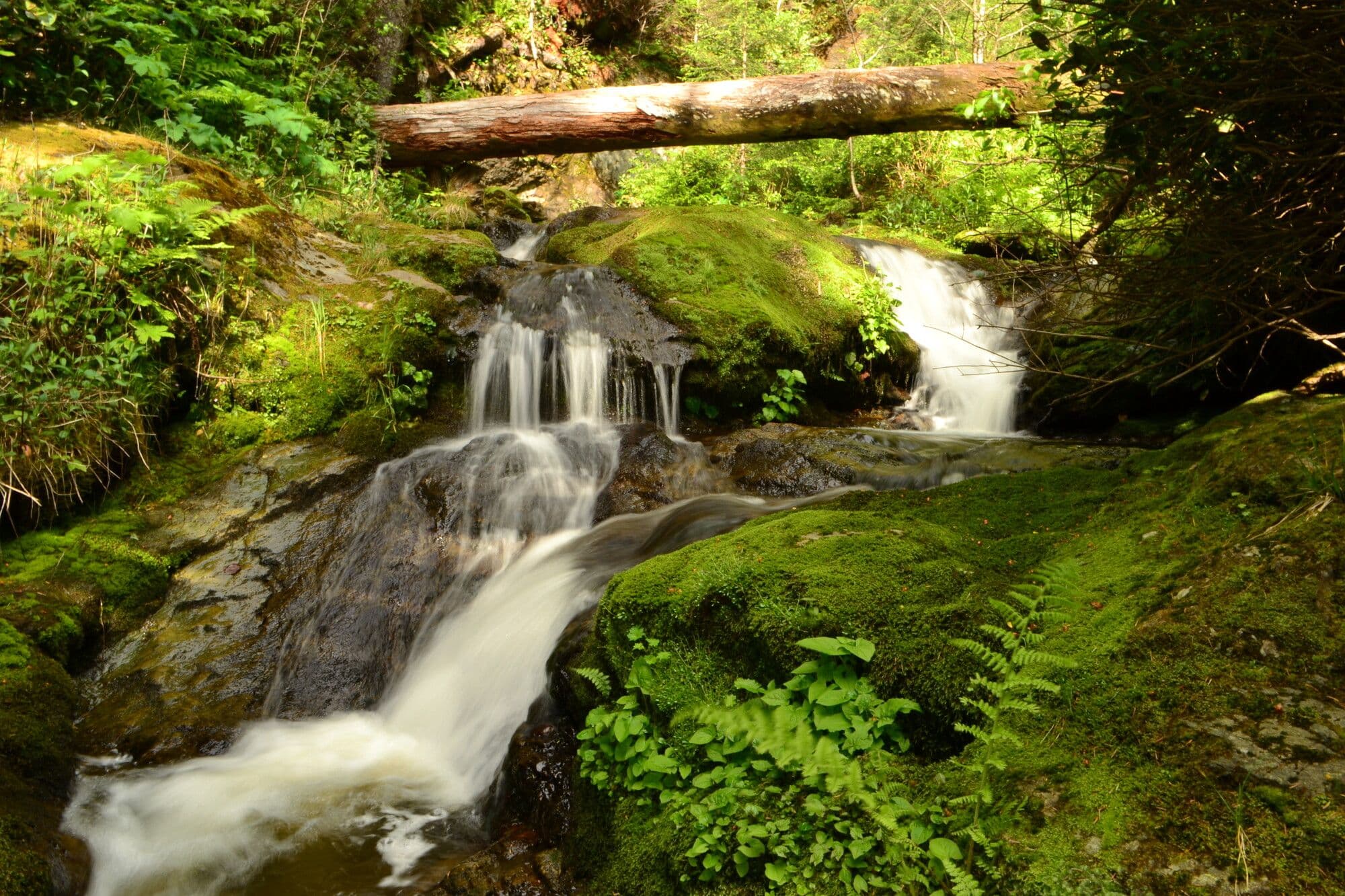 Juan de Fuca Park photo 4