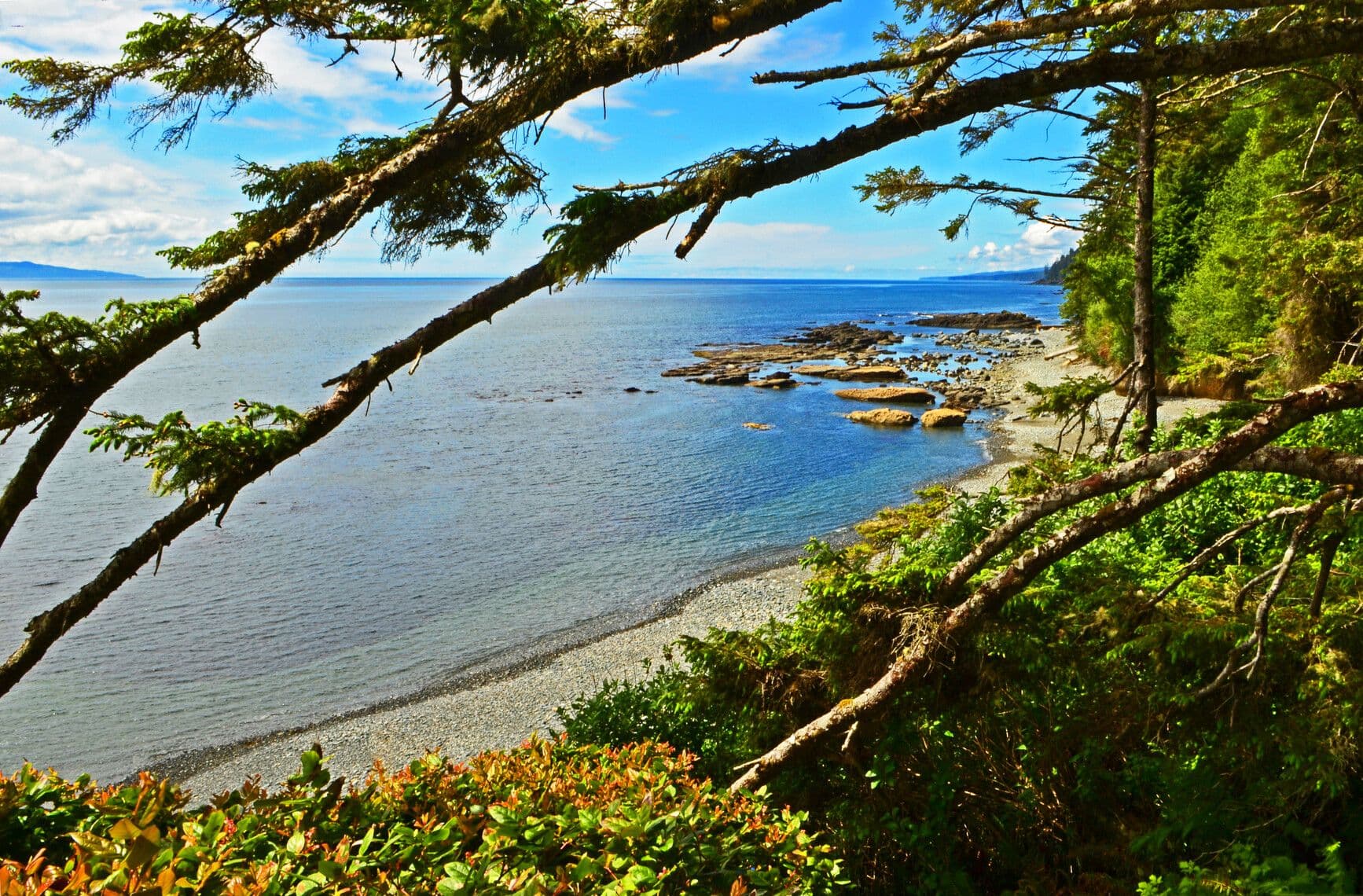 Juan de Fuca Park photo 8
