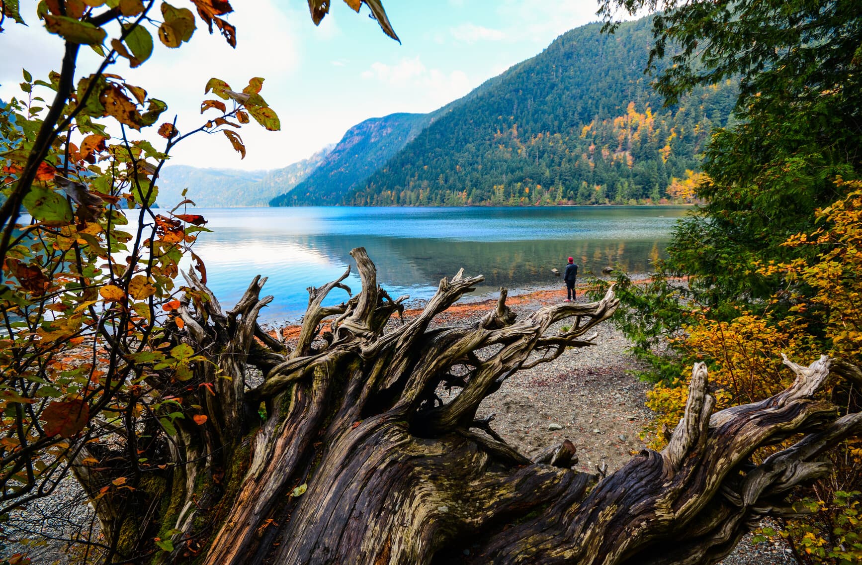 Little Qualicum Falls Park