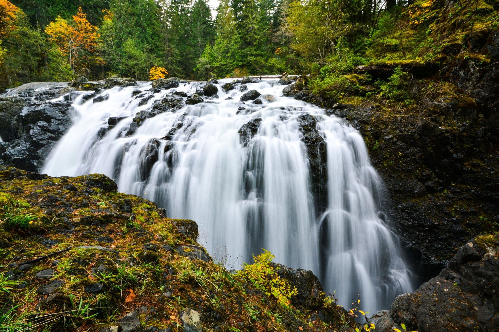 Camping near Nanaimo camping inspiration from Englishman River Falls Park