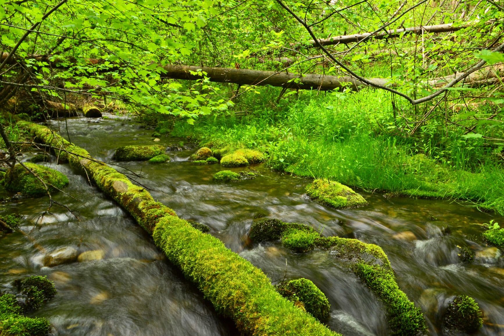 Johnstone Creek Park