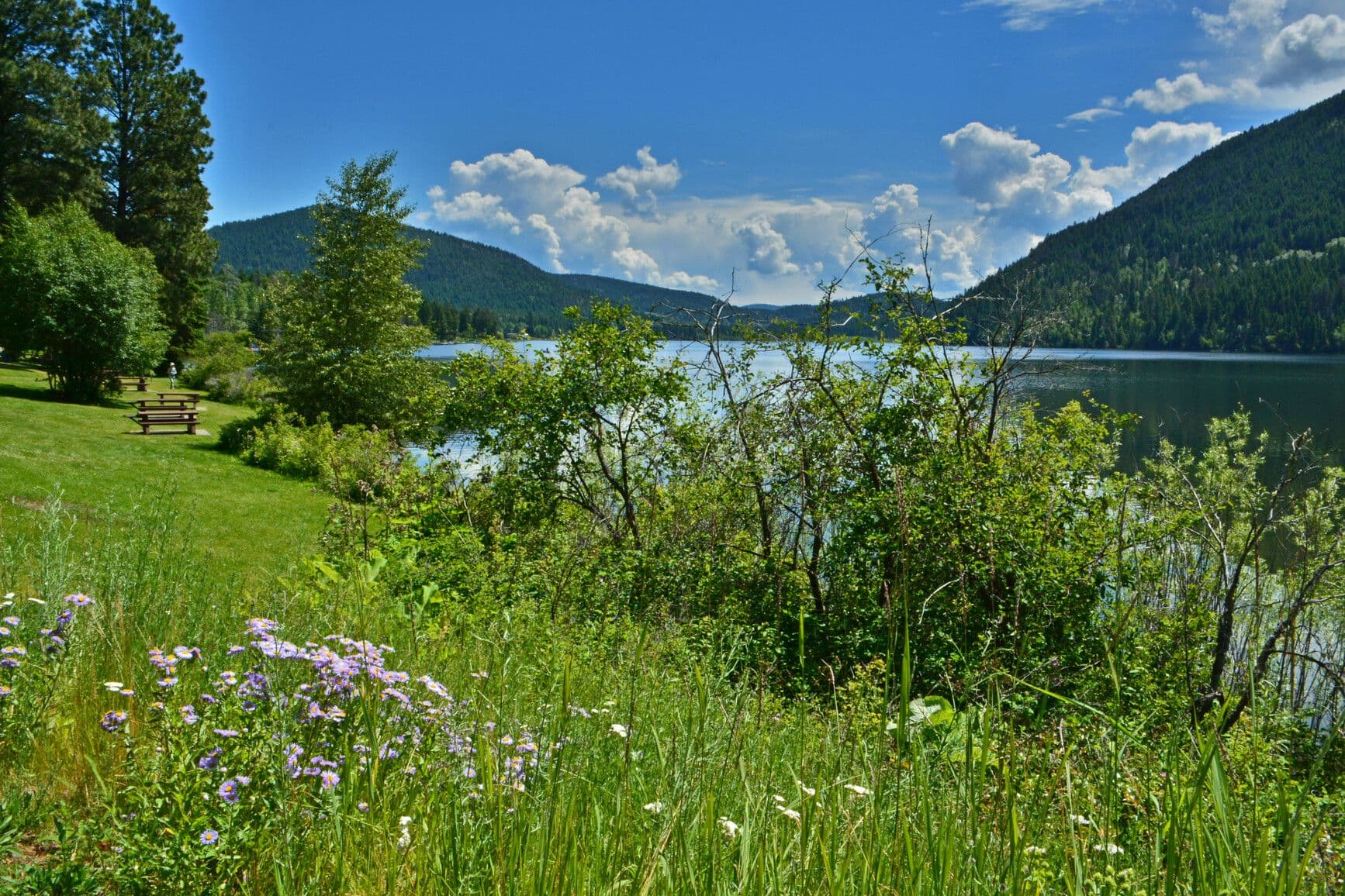 Camping near Kamloops camping inspiration from Paul Lake Park