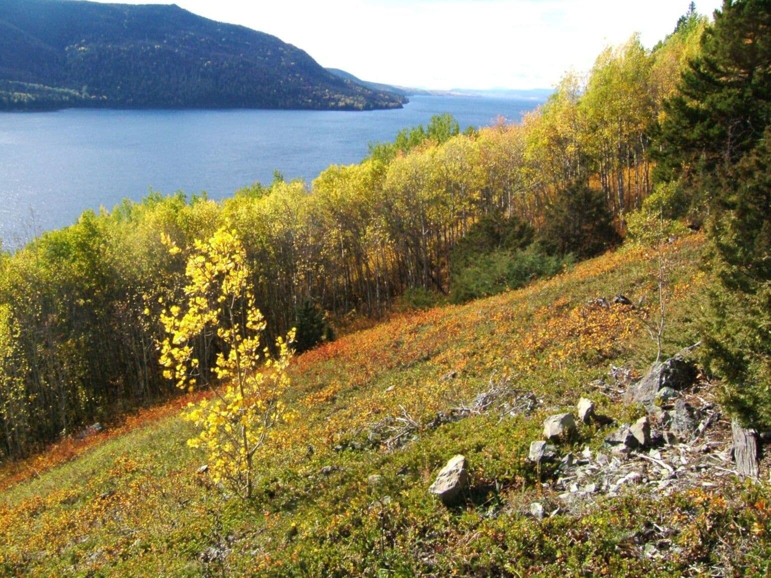 Uncha Mountain Red Hills Park